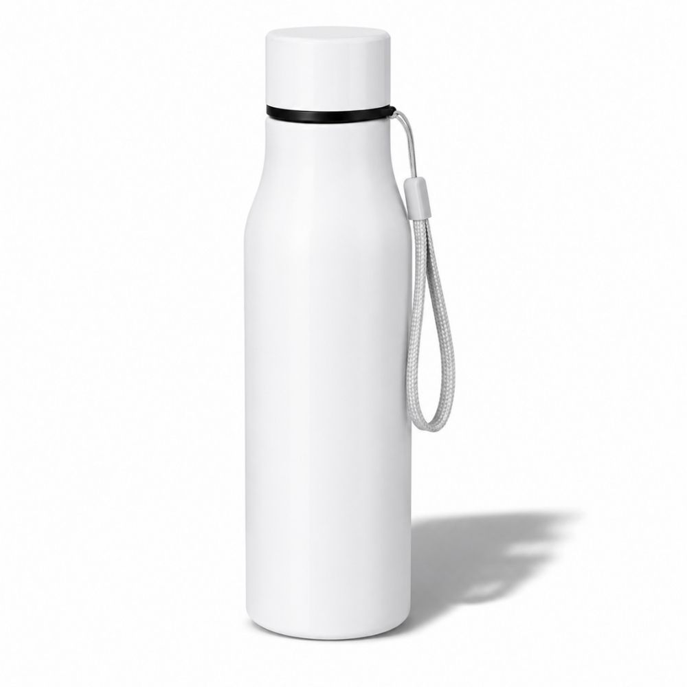 Premium Insulated Bottle for Corporate Gifting | Globalware