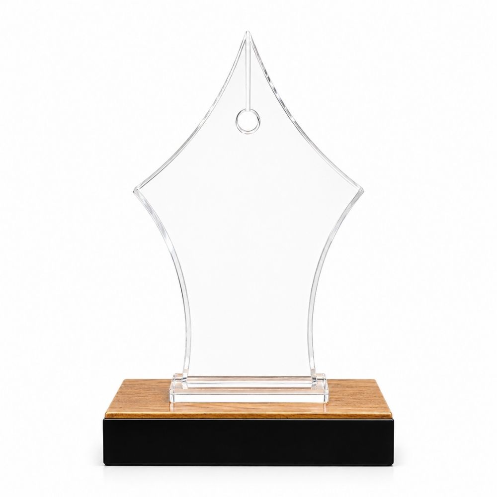 Customized Transparent Acrylic Memento Trophy
