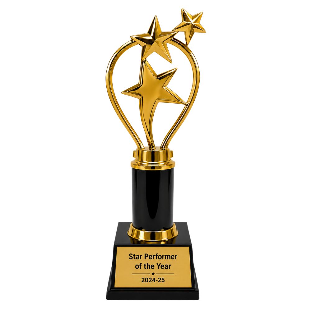 Star Performer Trophy for Employee Recognition & Award Ceremonies