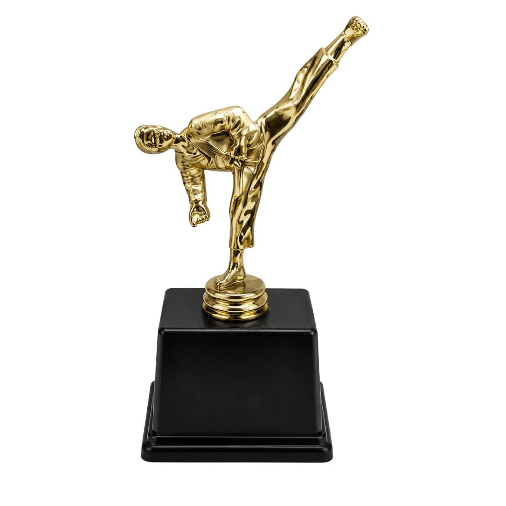 Best Karate Trophy Award for Martial Arts Tournament Winners | 8.5″ (H)