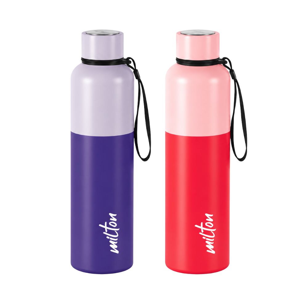 Ancy Dual Tone Vacuum Bottle for Corporate Gifting