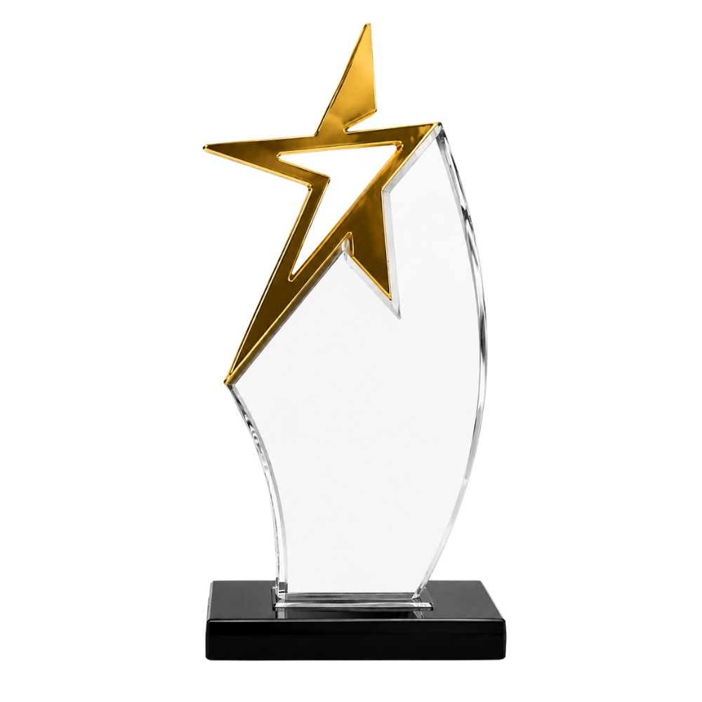 Gold Star Acrylic Award Trophy