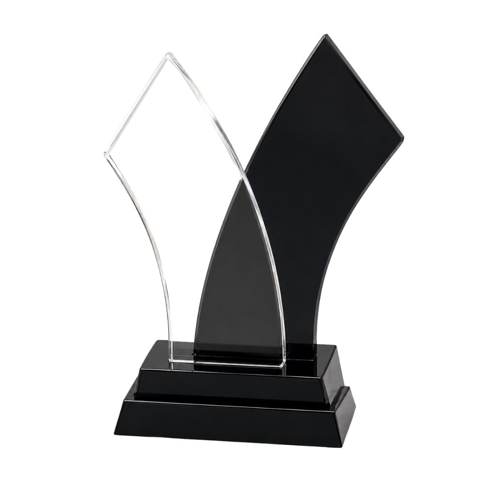 Dual Tone Acrylic Trophy Award