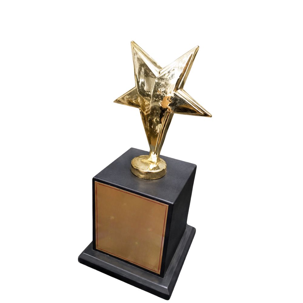 Star Excellence Award Trophy for Employee Recognition & Corporate Events