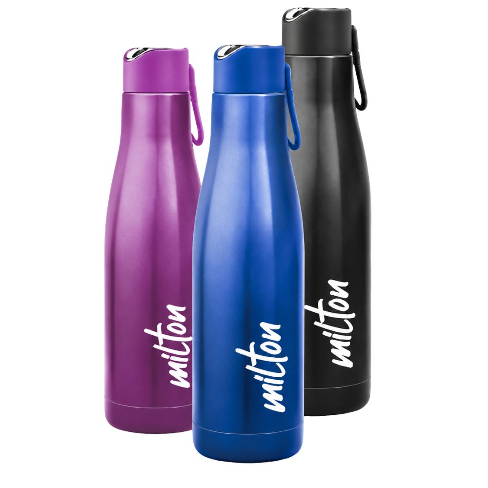 Fame Stainless Steel Vacuum Bottle for Corporate Gifting