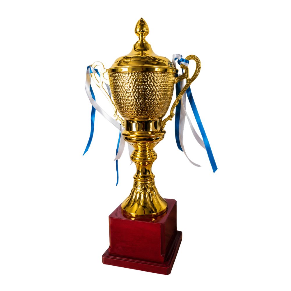 Champion Winner Cup Trophy for Sports Awards & Achievement Recognition